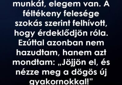 Egy telefonhívás többet tanított az emberekről, mint évek a munka világában