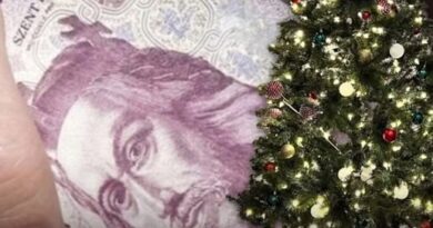 100 ezer forint rendkívüli támogatást kapnak a falusiak Karácsonyra! – Váratlan bejelentés!