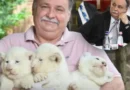 Gajdos László meghozta az első döntését: Azonnal hatállyal érvénybe is lépett!