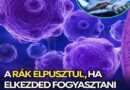 7 erős rákellenes étel, amit érdemes beépíteni az étrendedbe