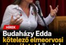 Budaházy Edda kemény bejegyzésben ment neki Magyar Péternek