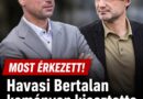 Havasi Bertalan keményen kiosztotta Gulyás Gergely!Mutatjuk