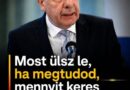 Most ülsz le, ha megtudod, mennyit keres havonta Sulyok Tamás! Kiderült, amire senki sem számított!