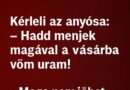 VICC: A székely a vásárba készül a szekerén. Kérleli az anyósa: