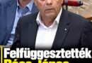 Felfüggesztették Pócs János mentelmi jogát: rágalmazási ügy áll a döntés mögött