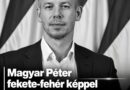 Magyar Péter fekete-fehér képpel jelentkezett be ma reggel. könnyfakasztó, amit közölt!
