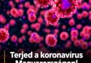 Koronavírus Magyarországon: ezekben a városokban jeleztek emelkedést a szennyvízadatok